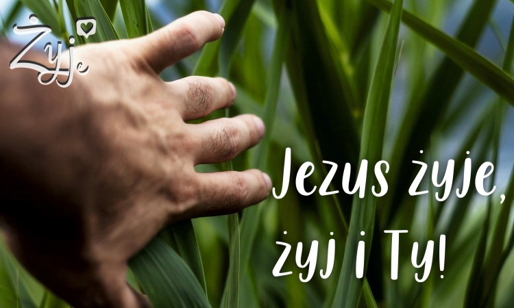 Jezus żyje, żyj i Ty!